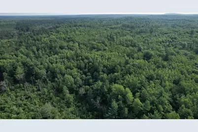 40 Acres Copper Mine Road, Gordon, WI 54838 - Photo 12