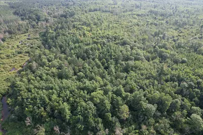 40 Acres Copper Mine Road, Gordon, WI 54838 - Photo 10