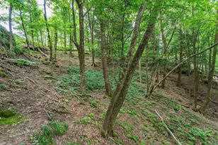 E4368 W Redstone Dr, La Valle, WI 53941 - Photo 56