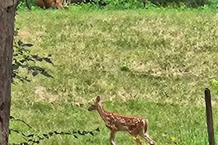 W8601 Hwy 82, Elroy, WI 53929 - Photo 52