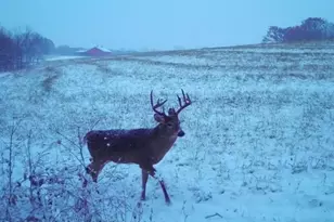 5320 Sunny Ridge Rd, Mineral Point, WI 53565 - Photo 42