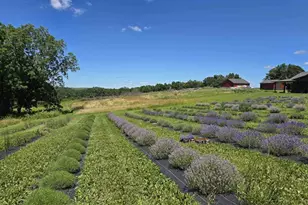 5320 Sunny Ridge Rd, Mineral Point, WI 53565 - Photo 44