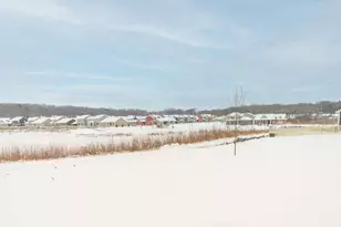 20 Spittlebug Cir, Madison, WI 53718 - Photo 16