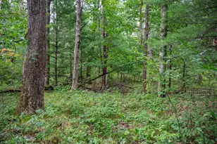 1892 A W 16th Ave, Friendship, WI 53934 - Photo 22