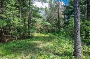 W5640 N Shore Dr, New Lisbon, WI 53950 - Photo 60