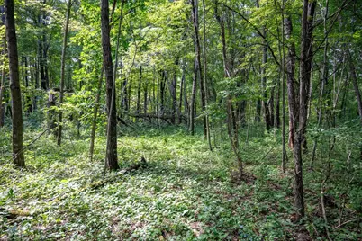 W5878 Wilson Lane, Necedah, WI 54646 - Photo 36
