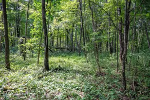 W5878 Wilson Ln, Necedah, WI 54646 - Photo 36