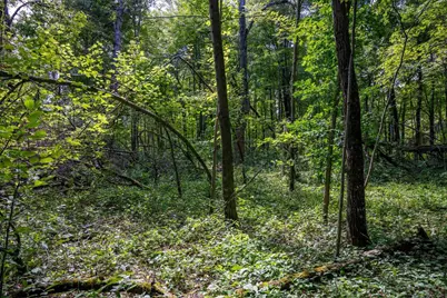 W5878 Wilson Lane, Necedah, WI 54646 - Photo 34