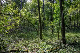 W5878 Wilson Ln, Necedah, WI 54646 - Photo 34