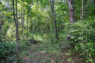 W5878 Wilson Ln, Necedah, WI 54646 - Photo 36