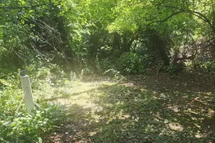 N5204 Meadow View Circle, Green Lake, WI 54941 - Photo 14