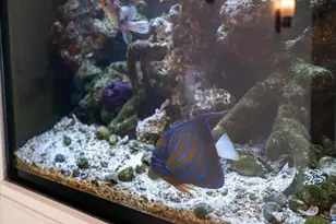 5511 Mendota Dr, Middleton, WI 53562 - Photo 20