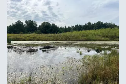 33 Acres 10th Avenue, Adams, WI 53910 - Photo 14