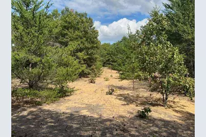 33 Acres 10th Avenue, Adams, WI 53910 - Photo 10