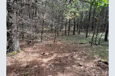 33 Acres 10th Avenue, Adams, WI 53910 - Photo 38