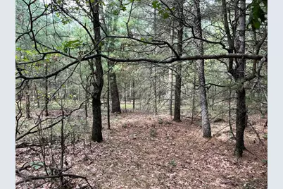 33 Acres 10th Avenue, Adams, WI 53910 - Photo 46