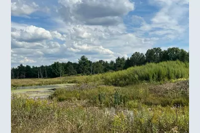 33 Acres 10th Avenue, Adams, WI 53910 - Photo 6