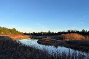 33 Acres 10th Ave, Adams, WI 53910 - Photo 1