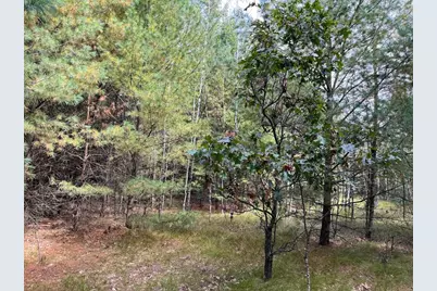 33 Acres 10th Avenue, Adams, WI 53910 - Photo 34