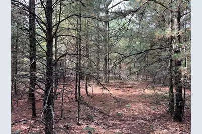 33 Acres 10th Avenue, Adams, WI 53910 - Photo 24