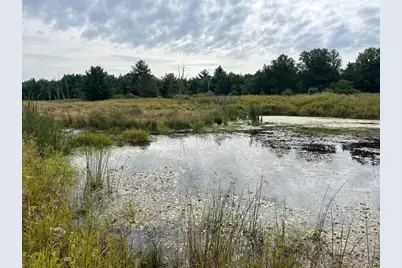 33 Acres 10th Avenue, Adams, WI 53910 - Photo 4