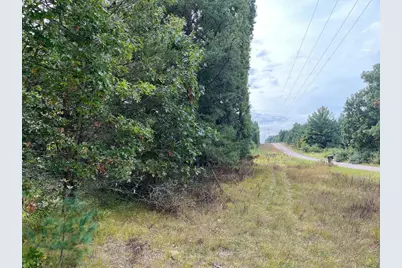 33 Acres 10th Avenue, Adams, WI 53910 - Photo 20