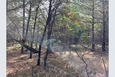 33 Acres 10th Avenue, Adams, WI 53910 - Photo 40