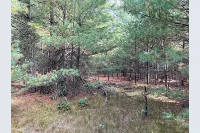 33 Acres 10th Avenue, Adams, WI 53910 - Photo 22