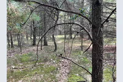 33 Acres 10th Avenue, Adams, WI 53910 - Photo 42