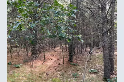 33 Acres 10th Avenue, Adams, WI 53910 - Photo 36