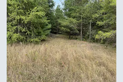 33 Acres 10th Avenue, Adams, WI 53910 - Photo 44