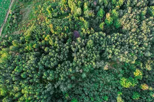 9205 Woehrle Ln, Marshfield, WI 54449 - Photo 70