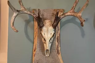 9205 Woehrle Ln, Marshfield, WI 54449 - Photo 28