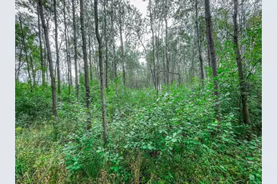 9205 Woehrle Lane, Marshfield, WI 54449 - Photo 44