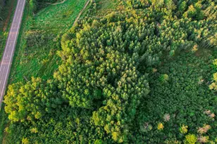 9205 Woehrle Ln, Marshfield, WI 54449 - Photo 68