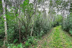 9205 Woehrle Ln, Marshfield, WI 54449 - Photo 48