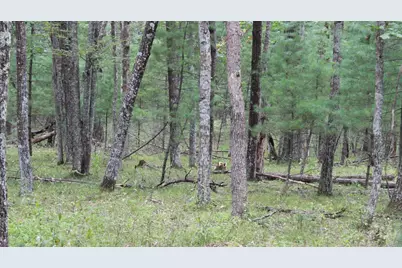 1835 10th Avenue, Friendship, WI 53934 - Photo 62