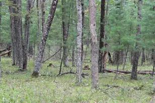 1835 10th Ave, Friendship, WI 53934 - Photo 62