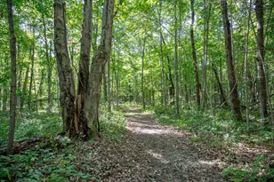 N7690 Hwy 12 and 16, Camp Douglas, WI 54618 - Photo 86