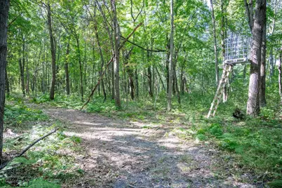 N7690 Highway 12 and 16, Camp Douglas, WI 54618 - Photo 82