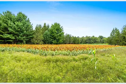 458 County Road O, Hancock, WI 54943 - Photo 56