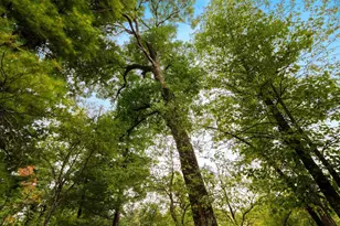 458 County Rd O, Hancock, WI 54943 - Photo 84