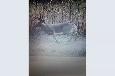 458 County Road O, Hancock, WI 54943 - Photo 6