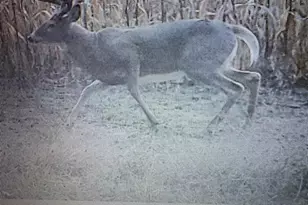 458 County Rd O, Hancock, WI 54943 - Photo 6