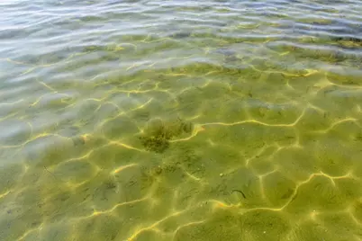 N4522 Park Road, Cambridge, WI 53523 - Photo 76