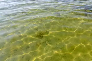 N4522 Park Rd, Cambridge, WI 53523 - Photo 76