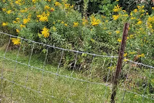 5834 Persimmon Dr, Fitchburg, WI 53711 - Photo 88