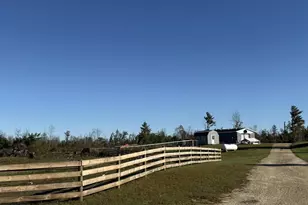 33486 Driftwood Ave, Warrens,warrens, WI 54666 - Photo 4