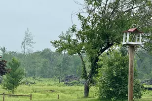 33486 Driftwood Ave, Warrens,warrens, WI 54666 - Photo 52