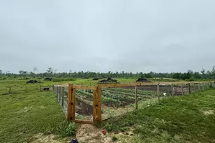 33486 Driftwood Ave, Warrens,warrens, WI 54666 - Photo 50